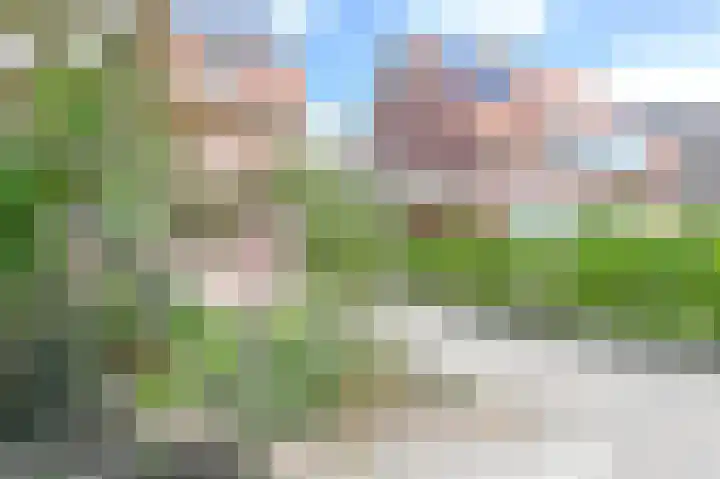 Oude Kruisweg 47 Cruquius thumbnail 35