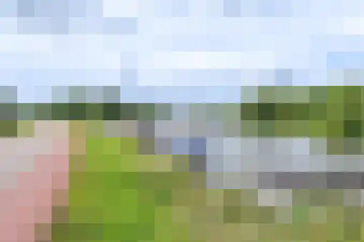 Oude Kruisweg 47 Cruquius thumbnail 39