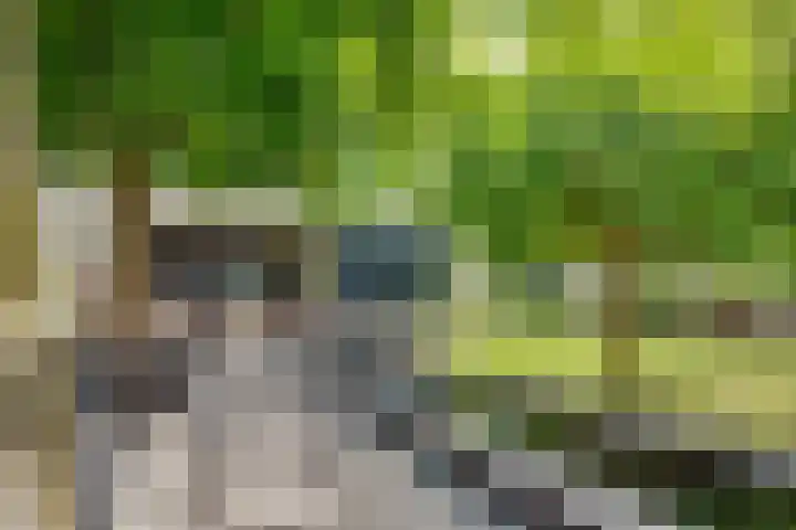 Oude Kruisweg 52 A Cruquius thumbnail 18