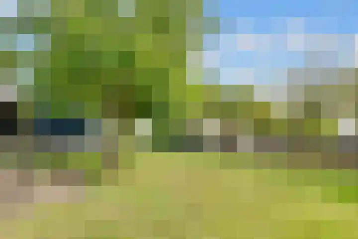 Oude Kruisweg 52 A Cruquius thumbnail 19