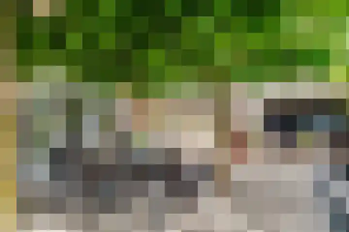 Oude Kruisweg 52 A Cruquius thumbnail 21