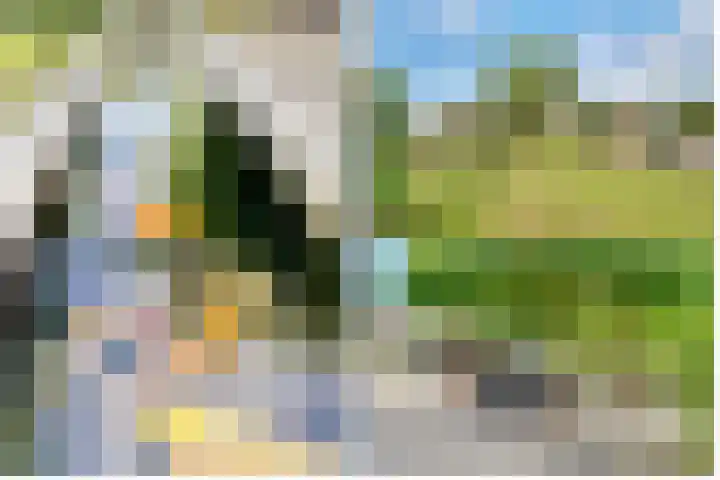 Oude Kruisweg 52 A Cruquius thumbnail 22