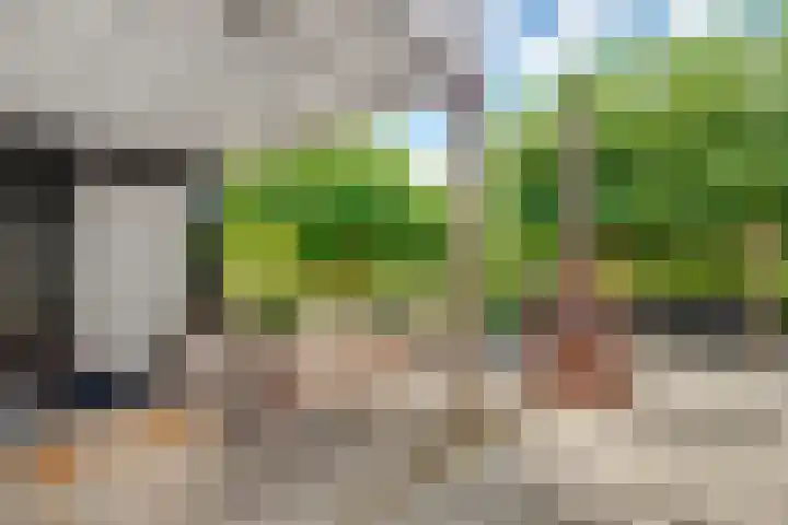 Oude Kruisweg 52 A Cruquius thumbnail 24