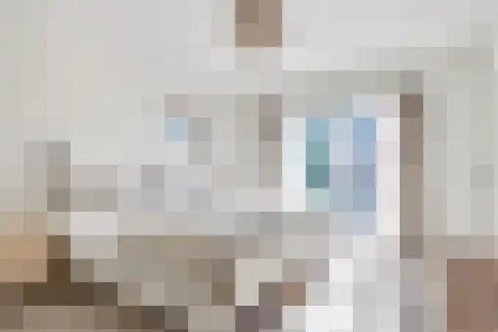 Oude Kruisweg 52 A Cruquius thumbnail 32