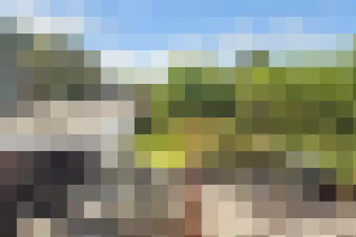 Oude Kruisweg 52 A Cruquius thumbnail 44