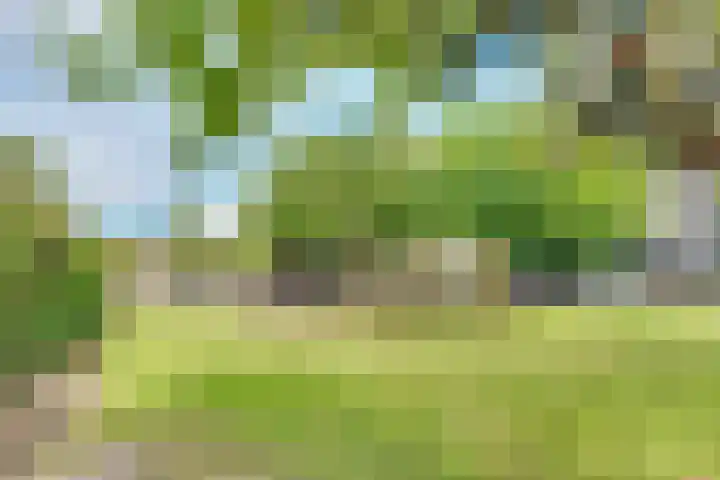 Oude Kruisweg 52 A Cruquius thumbnail 49