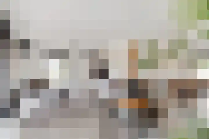Oude Kruisweg 52 A Cruquius thumbnail 5