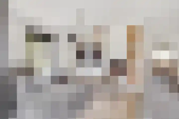 Oude Kruisweg 52 A Cruquius thumbnail 6