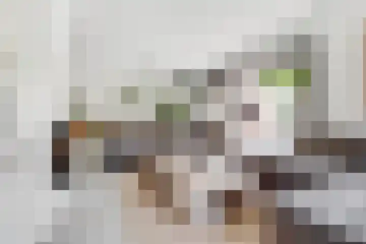 Oude Kruisweg 52 A Cruquius thumbnail 8