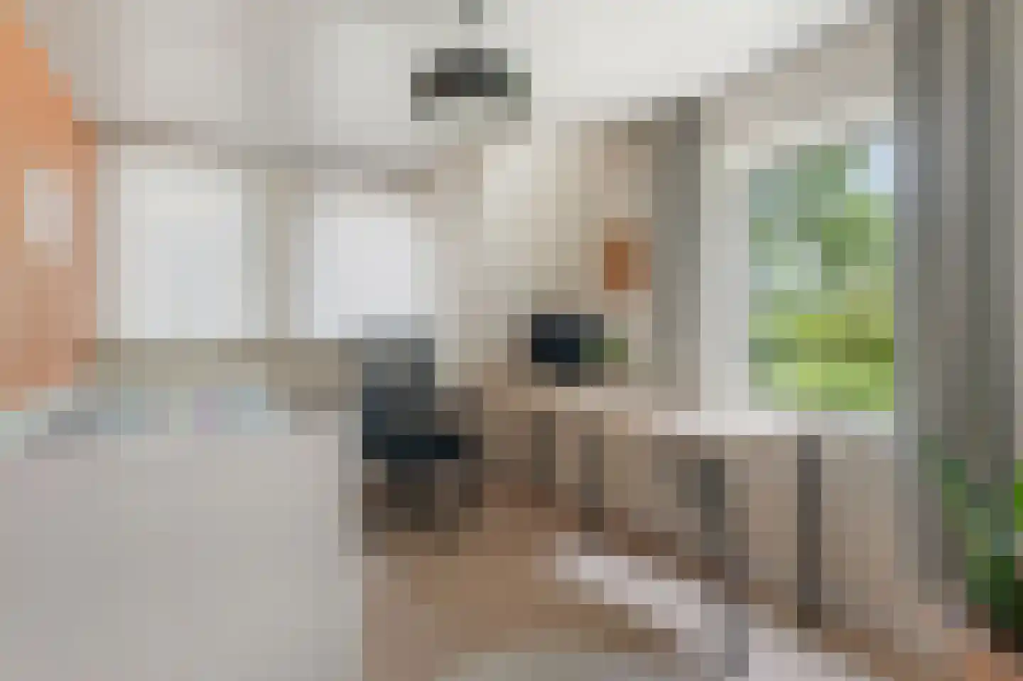 Oude Kruisweg 66 Cruquius thumbnail 28