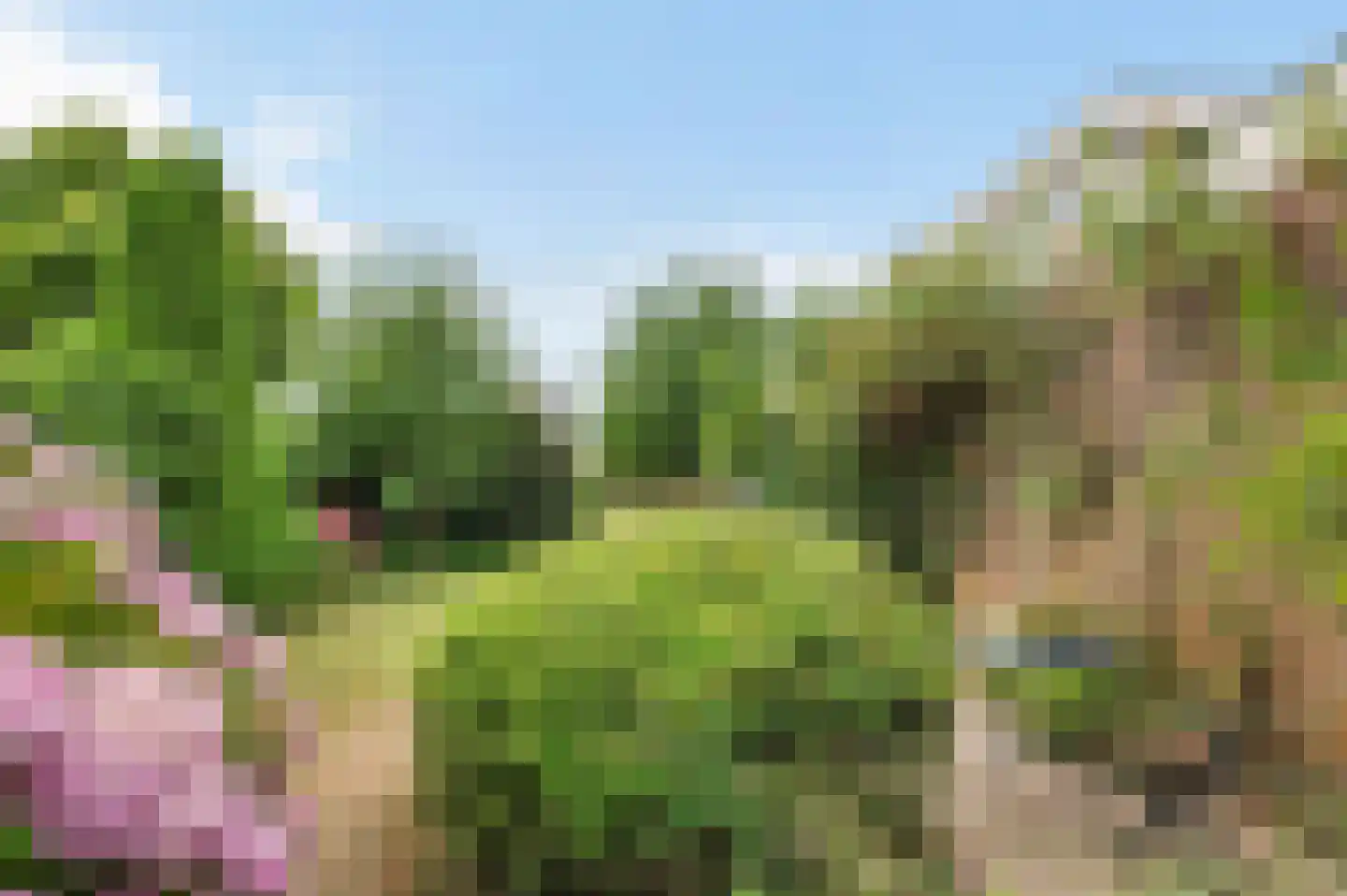 Oude Kruisweg 66 Cruquius thumbnail 37