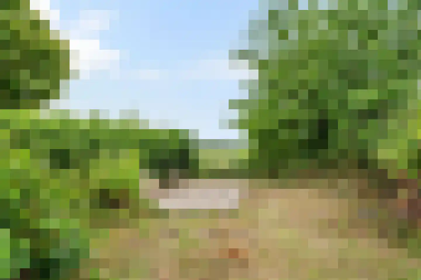 Oude Kruisweg 66 Cruquius thumbnail 38
