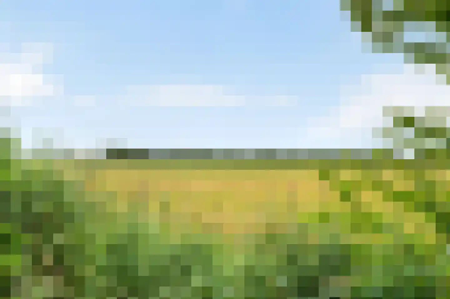 Oude Kruisweg 66 Cruquius thumbnail 39