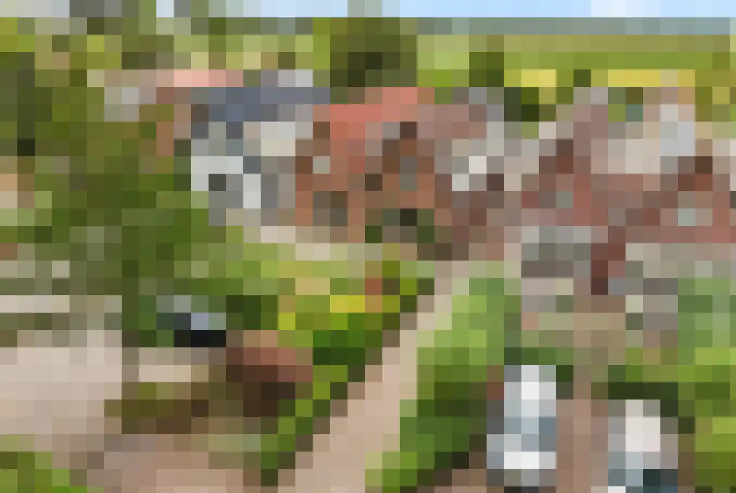 Oude Kruisweg 66 Cruquius thumbnail 4