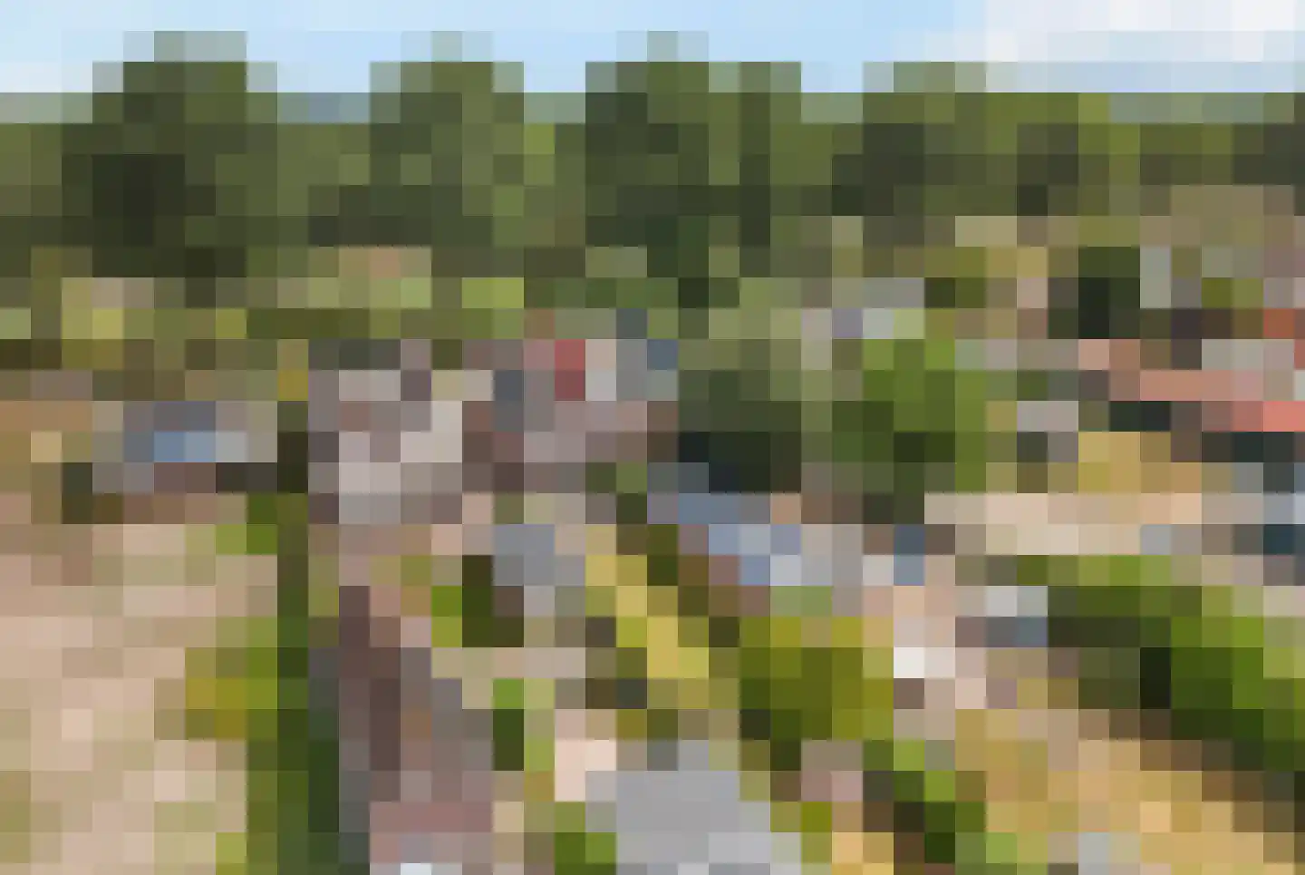 Oude Kruisweg 66 Cruquius thumbnail 42