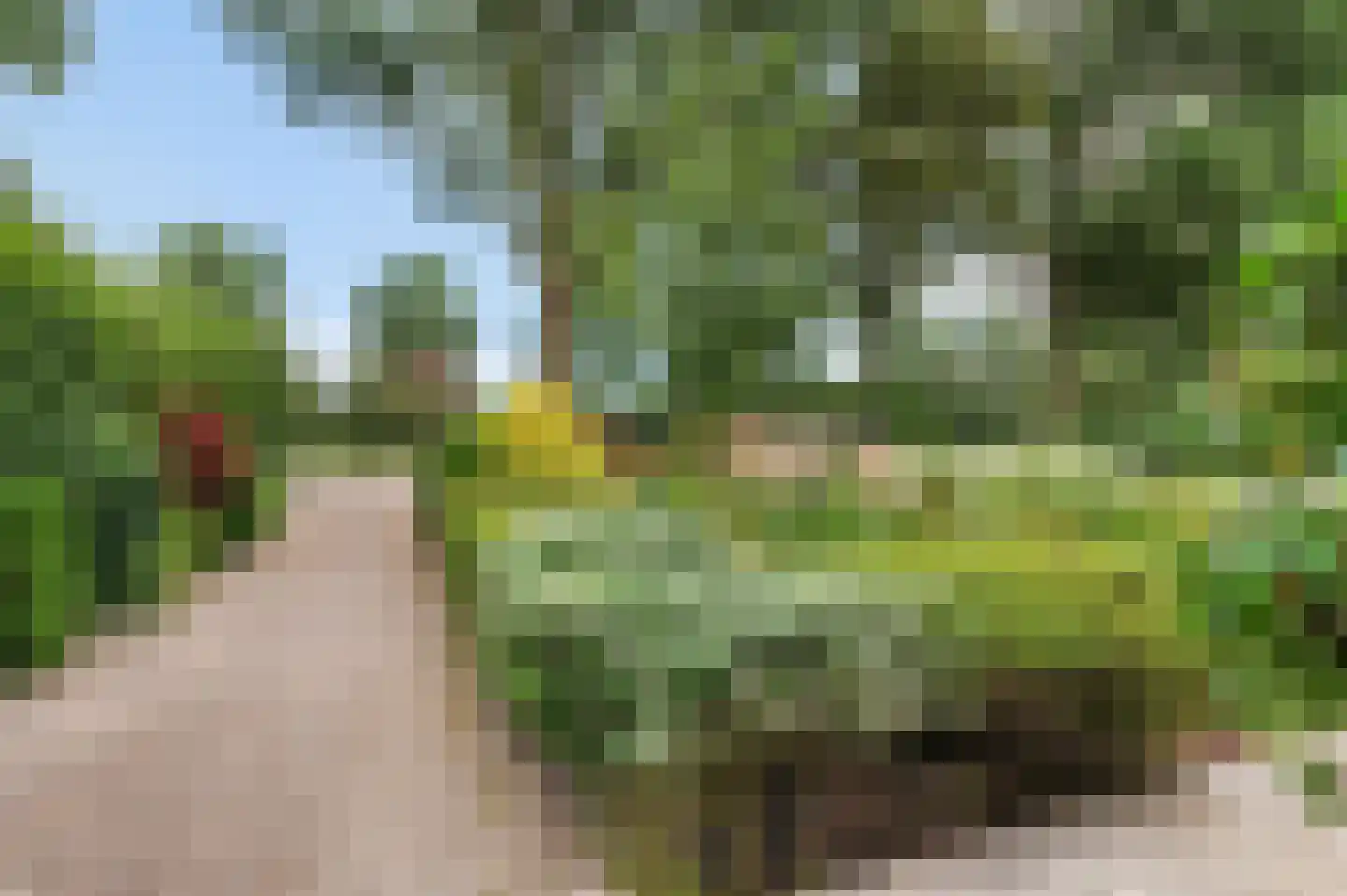 Oude Kruisweg 66 Cruquius thumbnail 44
