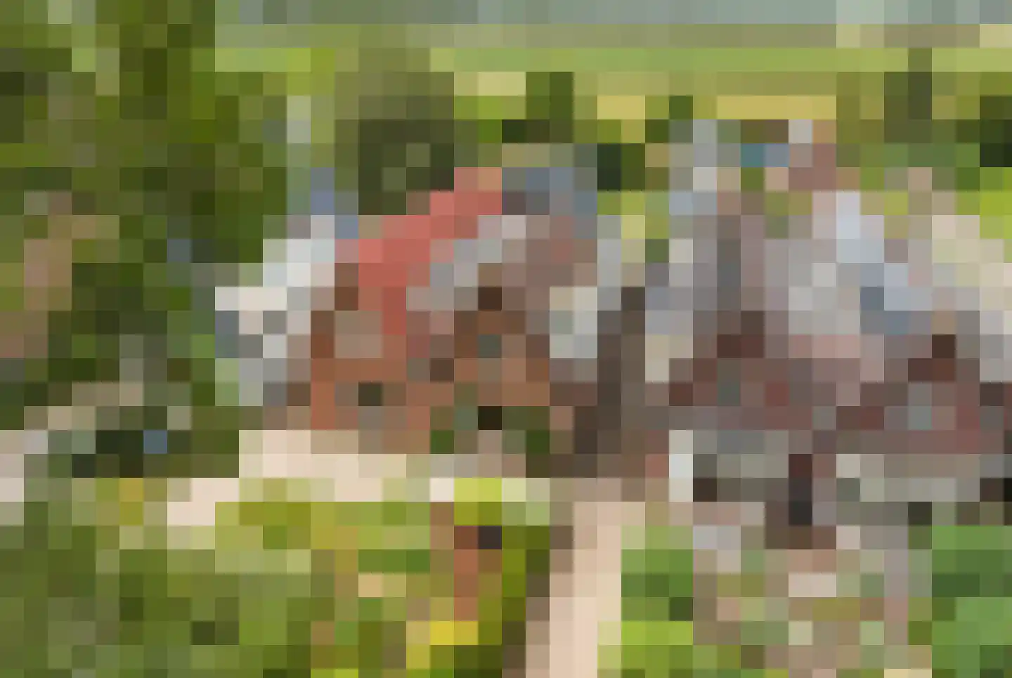 Oude Kruisweg 66 Cruquius thumbnail 46