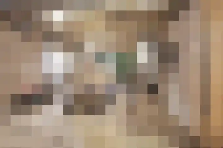 Oude Kruisweg 72 Cruquius thumbnail 13