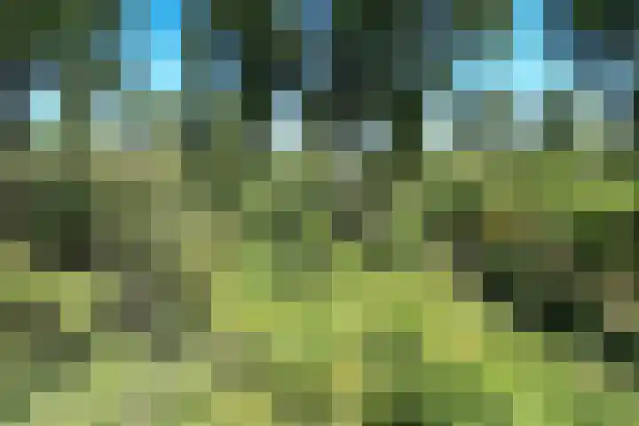 Oude Kruisweg 72 Cruquius thumbnail 16