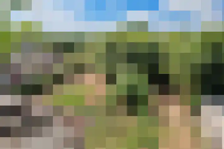 Oude Kruisweg 72 Cruquius thumbnail 18