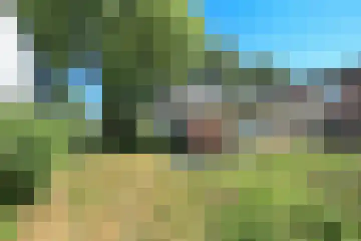 Oude Kruisweg 72 Cruquius thumbnail 19