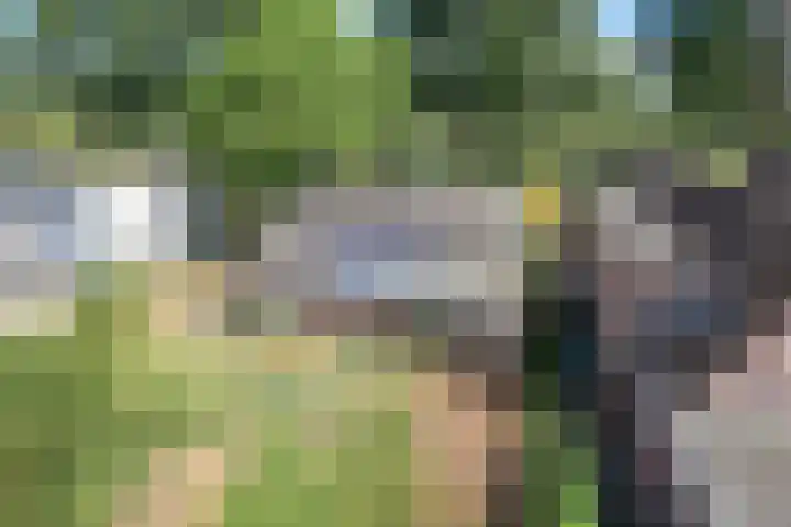 Oude Kruisweg 72 Cruquius thumbnail 20