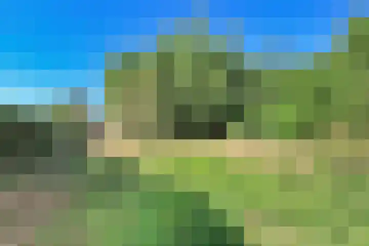 Oude Kruisweg 72 Cruquius thumbnail 21