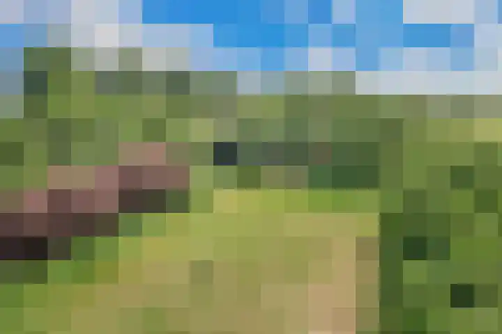 Oude Kruisweg 72 Cruquius thumbnail 22