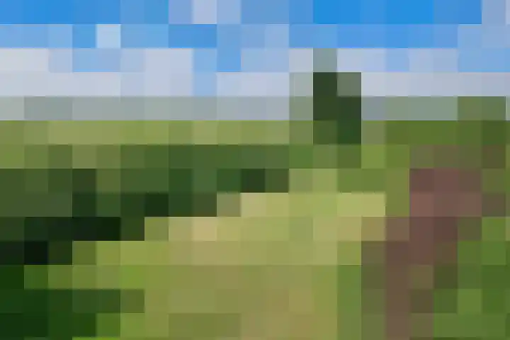 Oude Kruisweg 72 Cruquius thumbnail 23