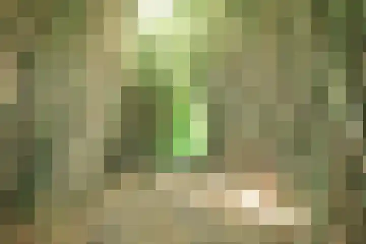 Oude Kruisweg 72 Cruquius thumbnail 24