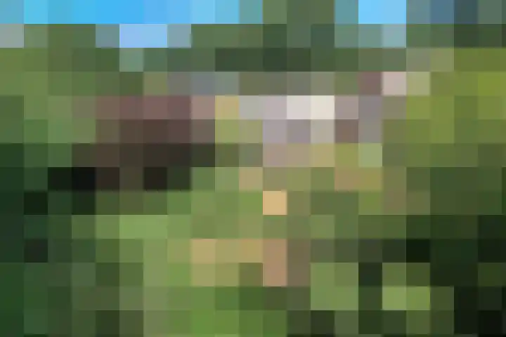 Oude Kruisweg 72 Cruquius thumbnail 25
