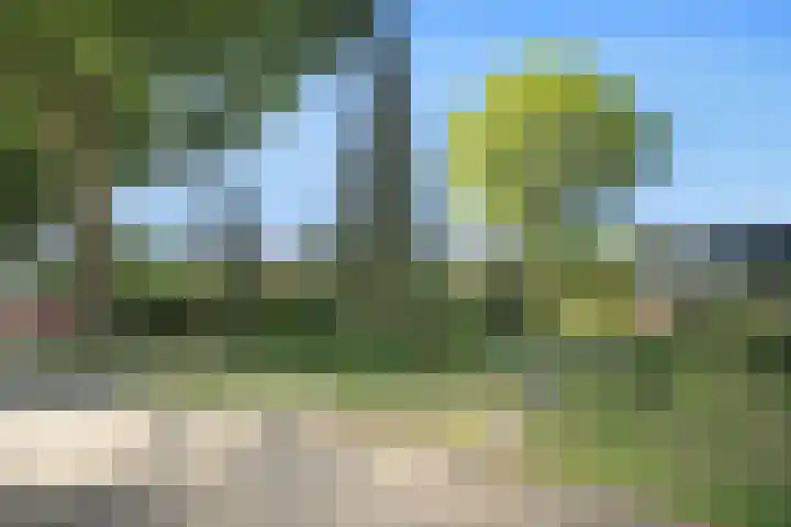 Oude Kruisweg 72 Cruquius thumbnail 28