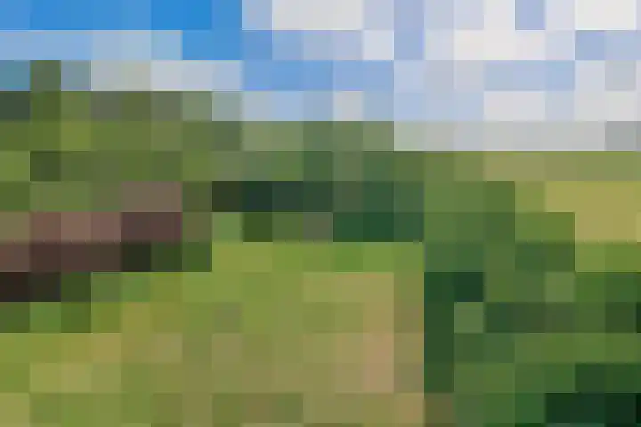 Oude Kruisweg 72 Cruquius thumbnail 29