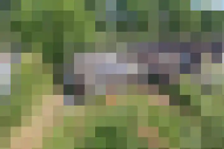 Oude Kruisweg 72 Cruquius thumbnail 4