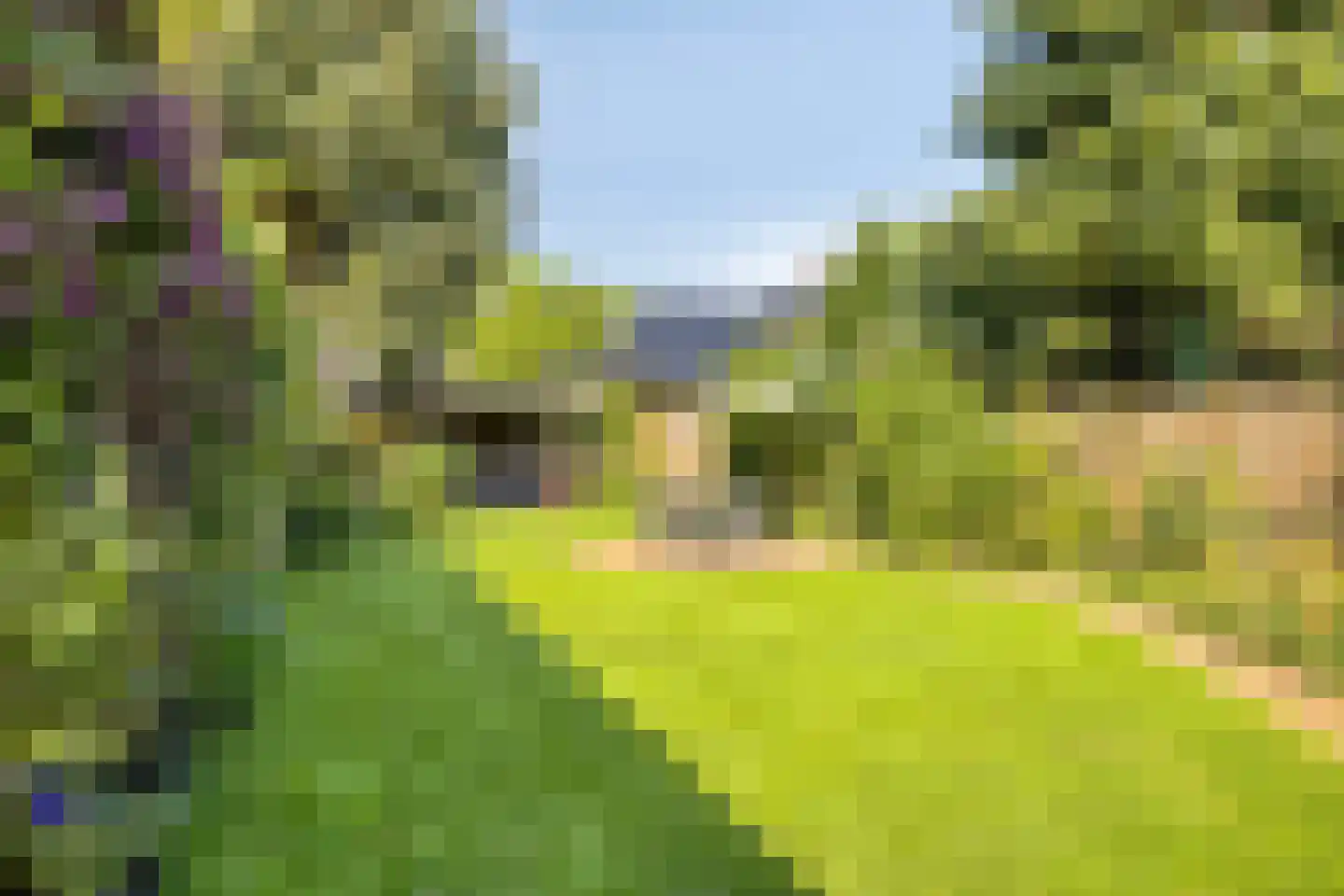 Oude Laarderweg 8 Weert thumbnail 39