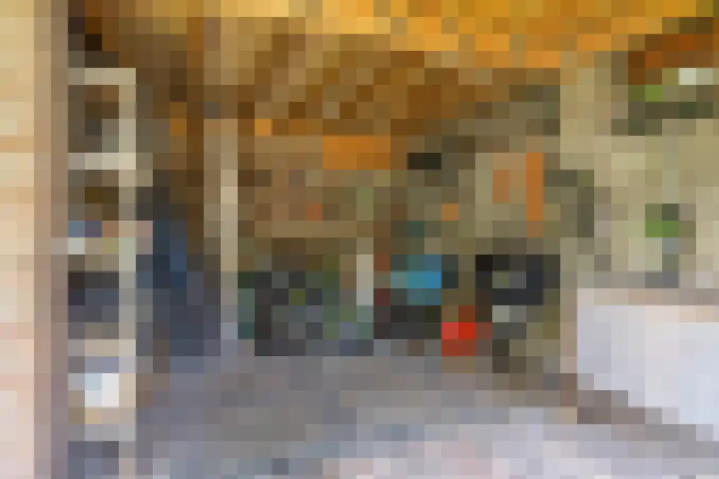Oude Laarderweg 8 Weert thumbnail 46
