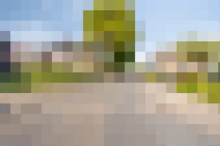 Oude Landgraaf 14 Landgraaf thumbnail 53