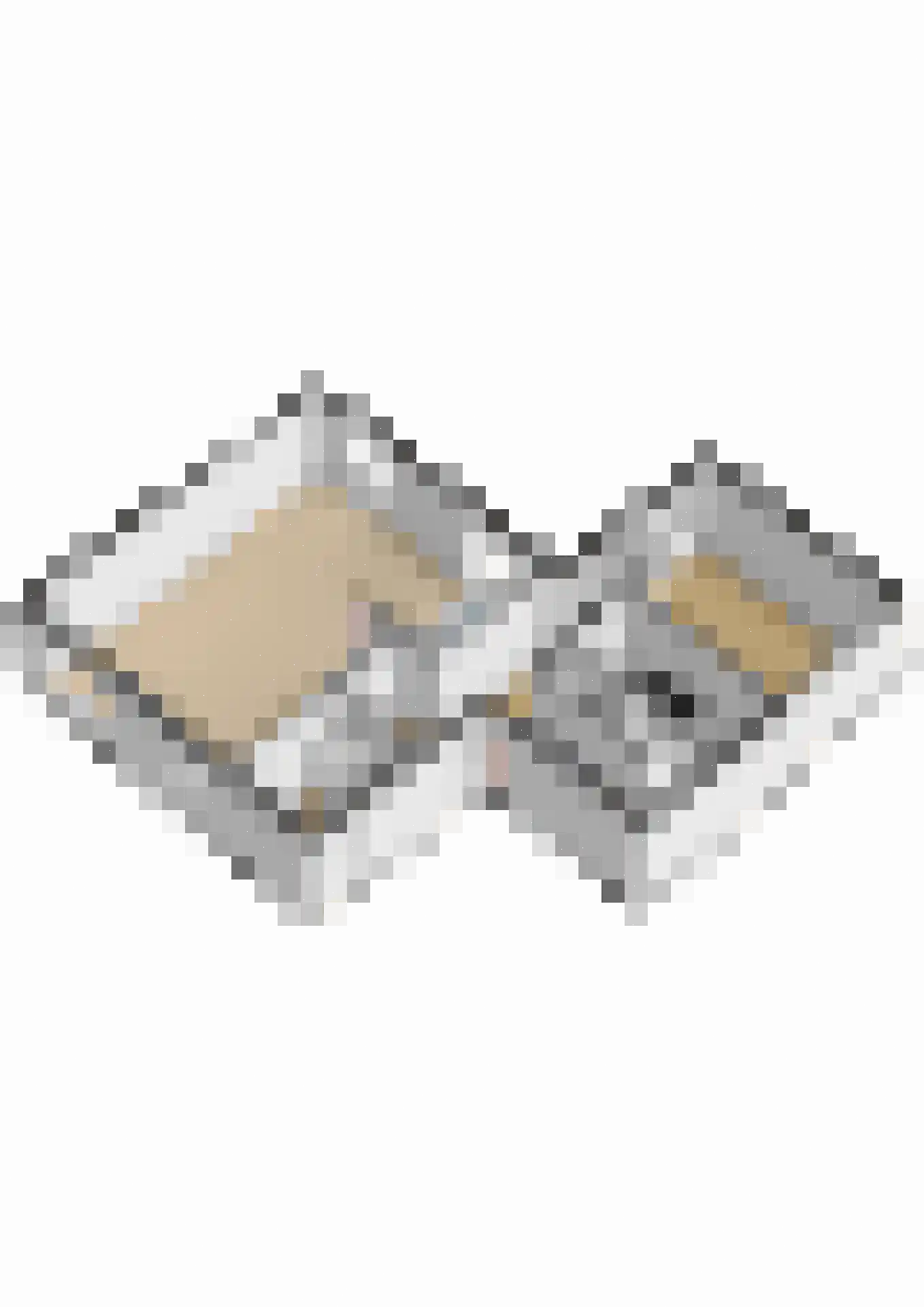 Oude Landgraaf Hof 10 Landgraaf thumbnail 33