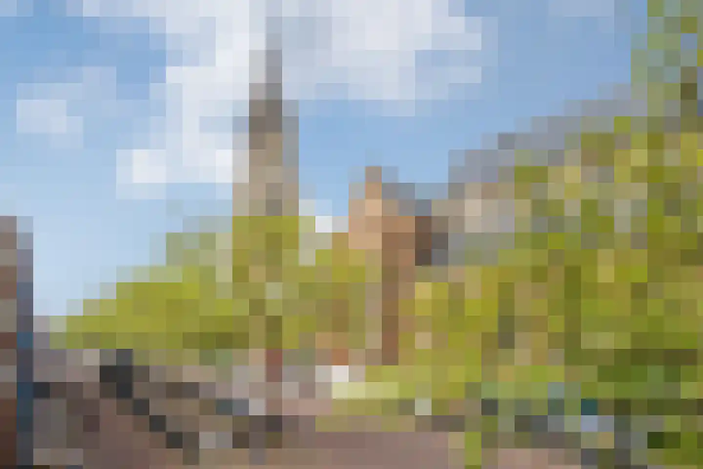 Oude Langendijk 30 Delft thumbnail 23