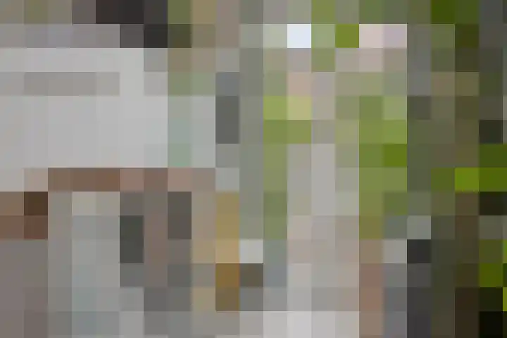 Oude Langstraat 31 Tilburg thumbnail 22