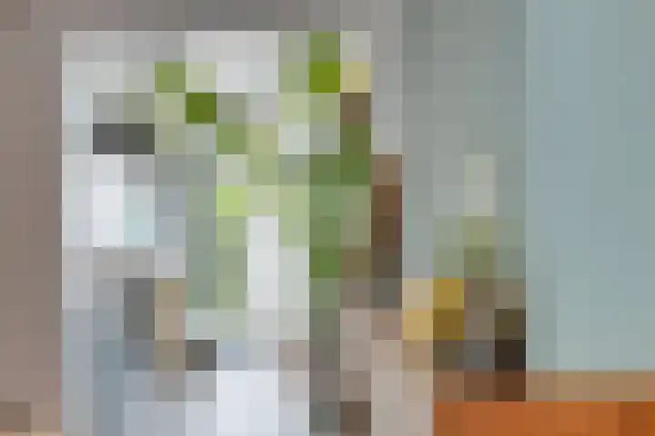 Oude Langstraat 31 Tilburg thumbnail 6
