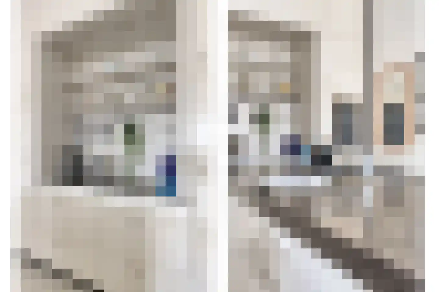 Oude Langstraat 63 Tilburg thumbnail 14
