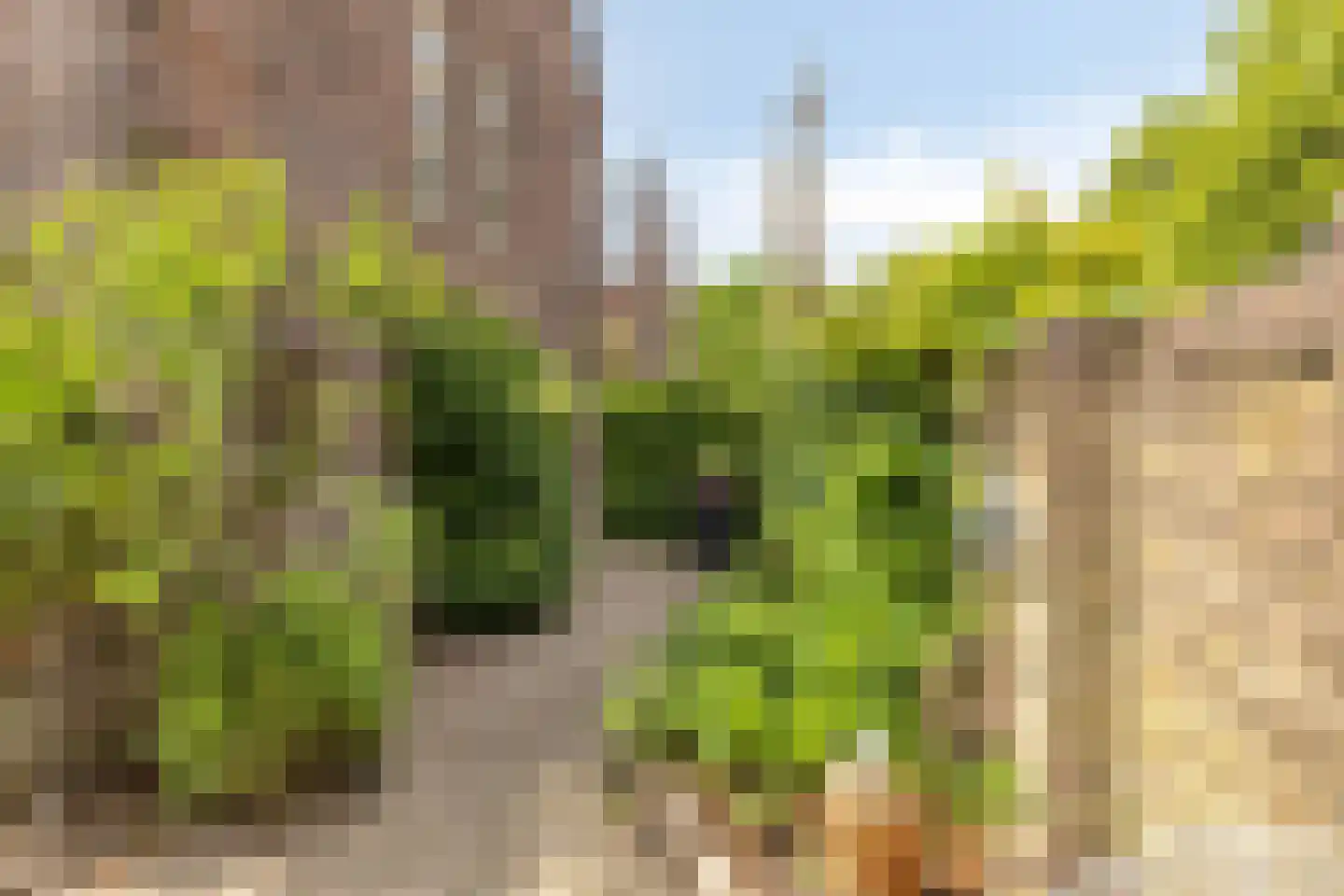 Oude Langstraat 63 Tilburg thumbnail 20