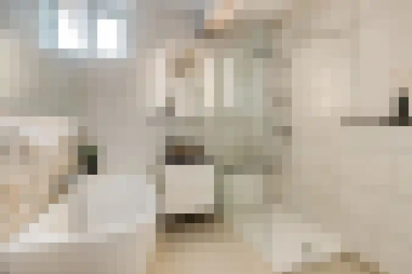 Oude Langstraat 63 Tilburg thumbnail 31