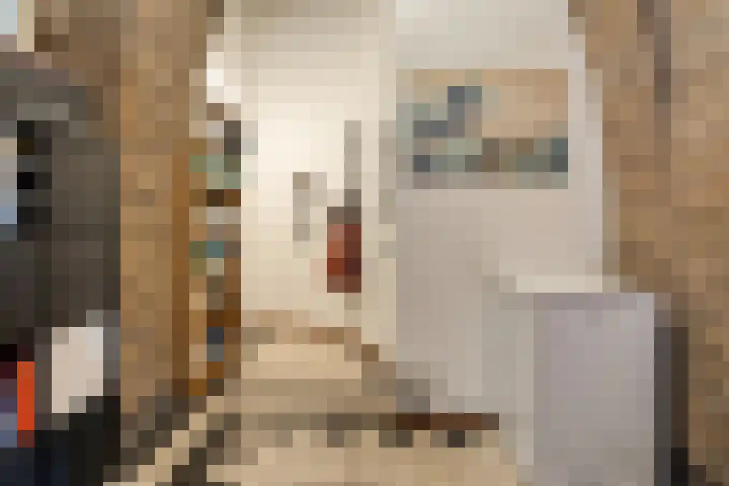 Oude Langstraat 63 Tilburg thumbnail 36