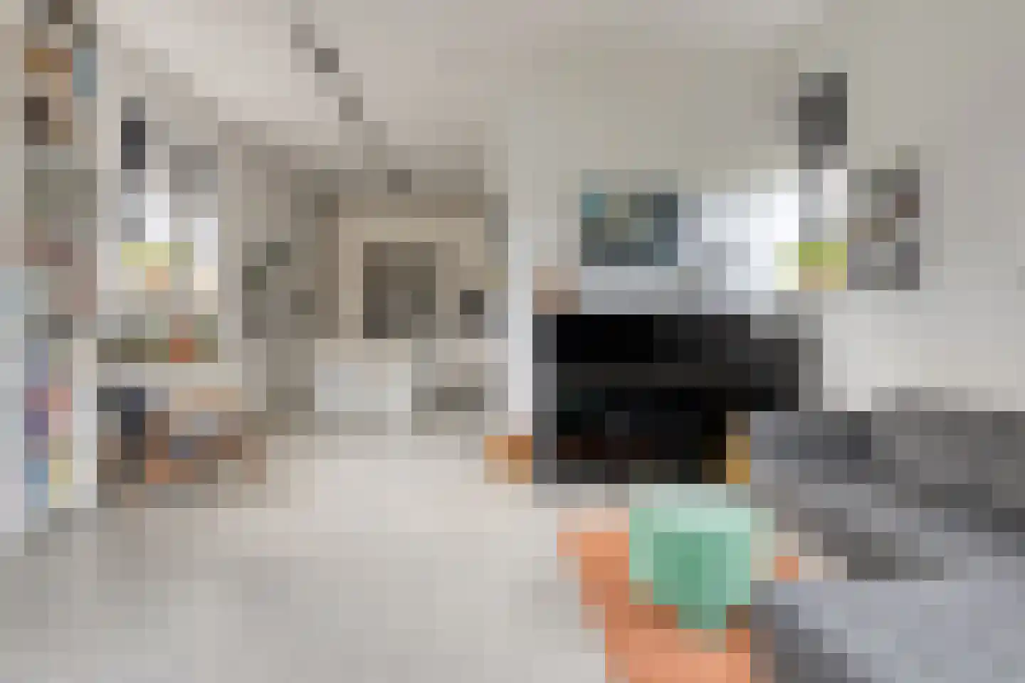 Oude Langstraat 63 Tilburg thumbnail 7