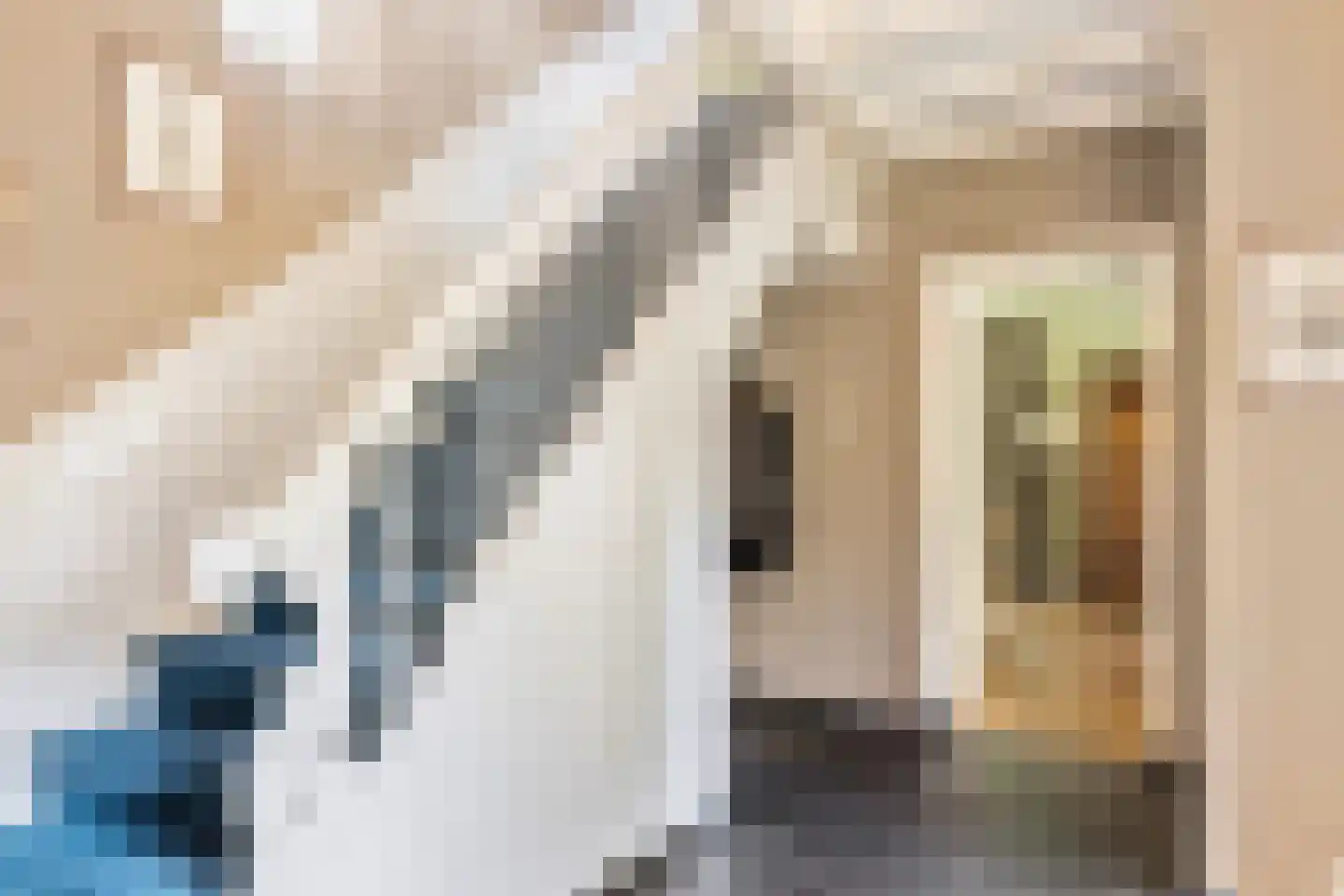 Oude Larenseweg 1 Epse thumbnail 10