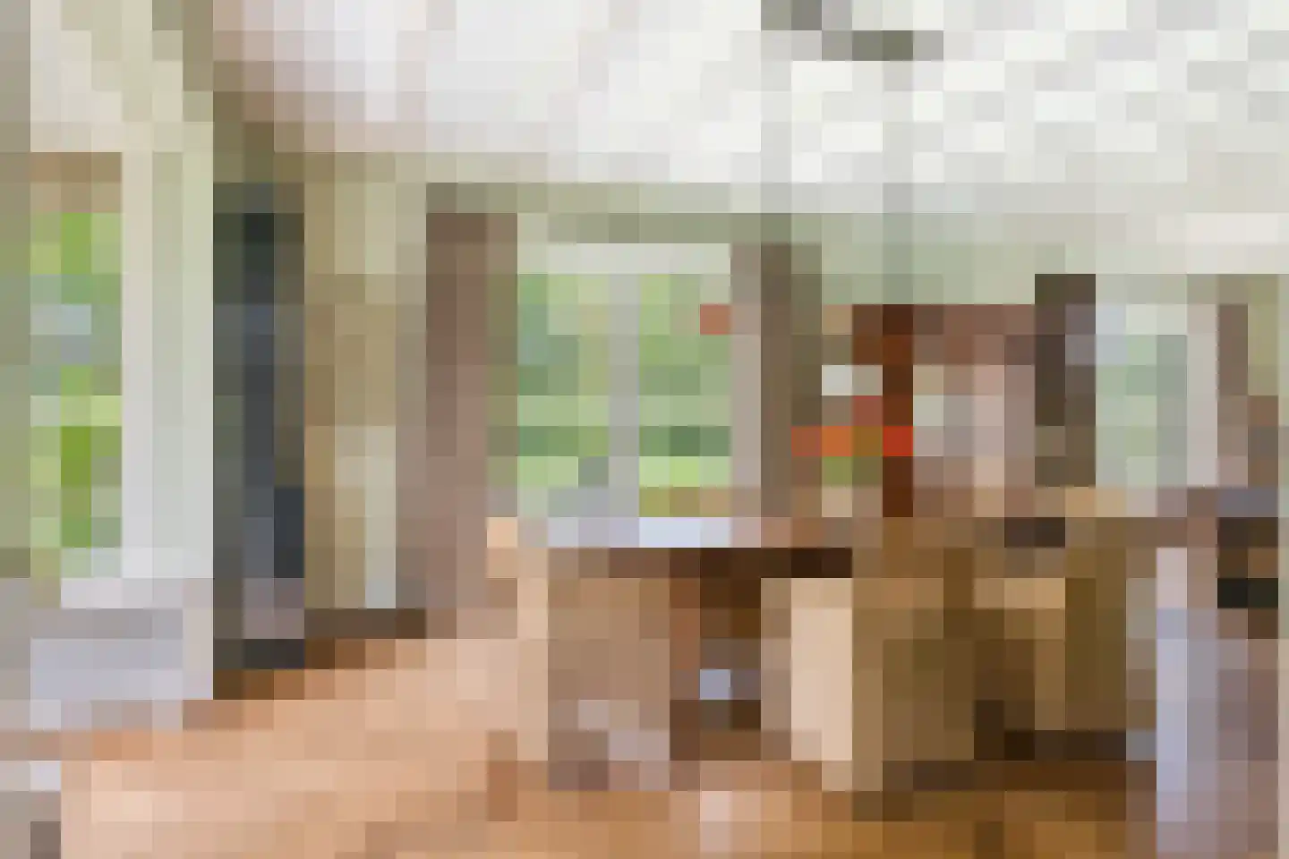 Oude Larenseweg 1 Epse thumbnail 22