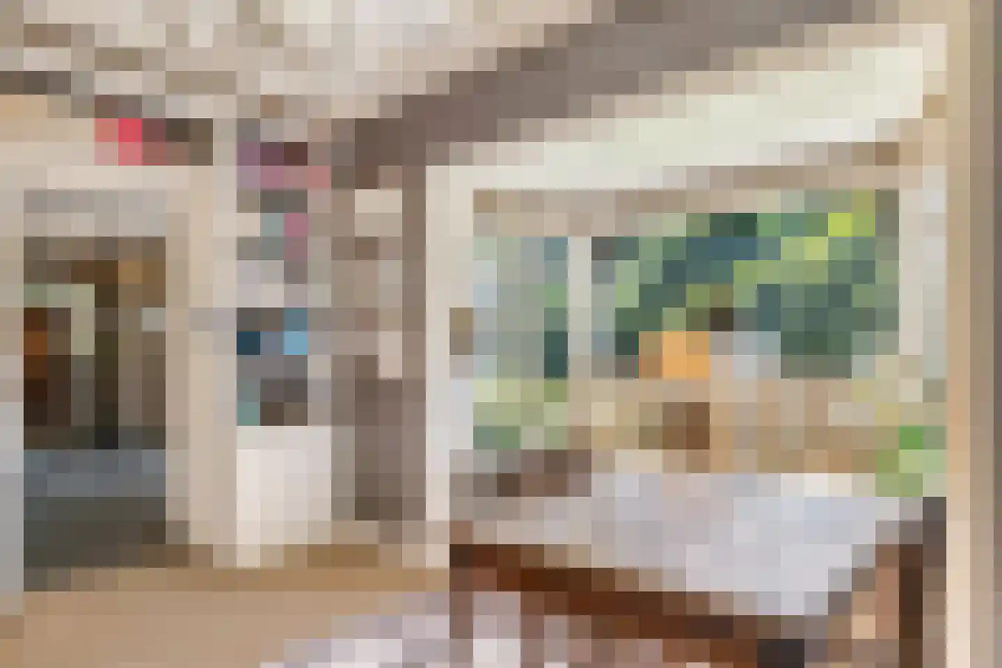 Oude Larenseweg 1 Epse thumbnail 26