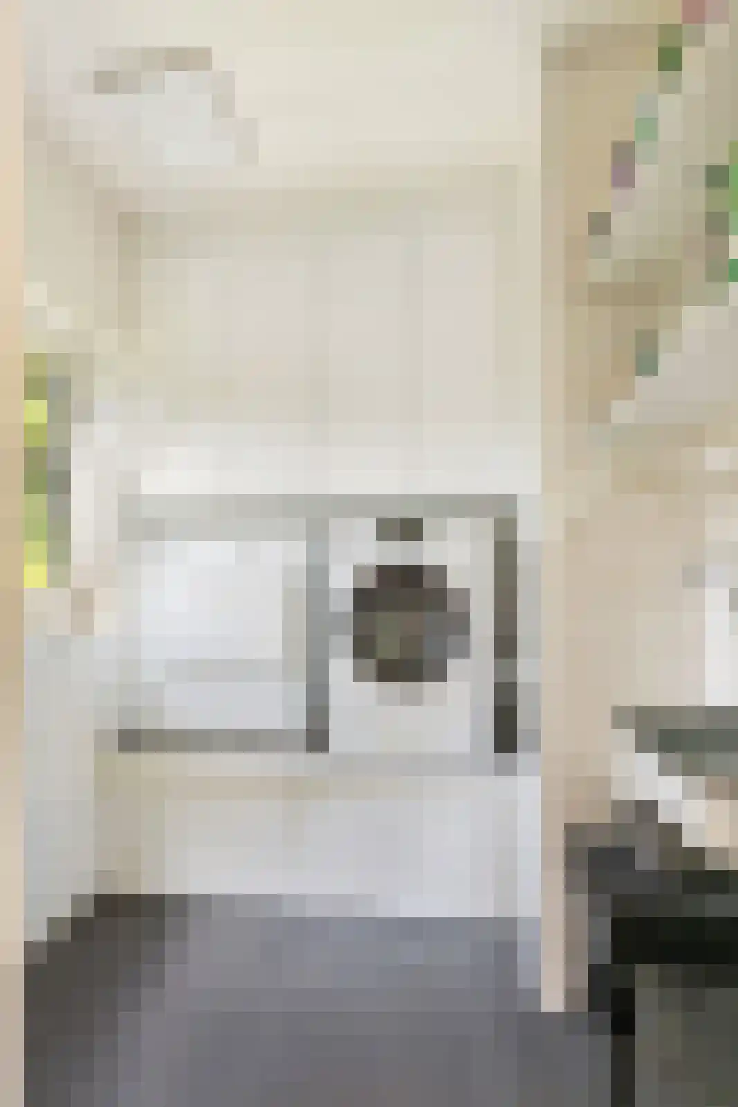 Oude Larenseweg 1 Epse thumbnail 27